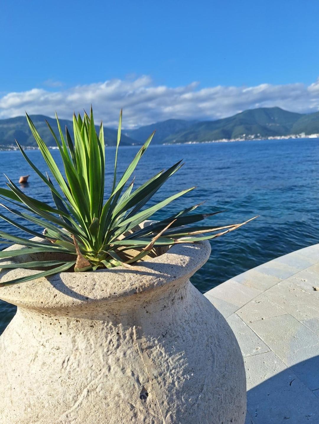 Apartments Ponta Krasici ติวัต ภายนอก รูปภาพ